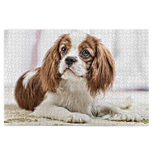 Puzzle 2000 Teile Cavalier King Charles Spaniel Brauner Spaniel Puzzlespielzeug Familienspiel Wanddekoration für Erwachsene Teenager 70x100CM von EZMLFA