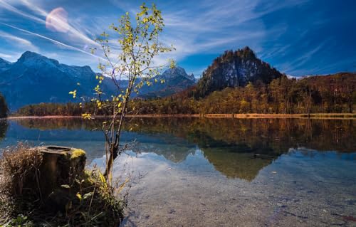 Puzzle für Erwachsene, 1000 Teile, Lernspiel, Herausforderungsspielzeug, 1000 Teile Puzzle für Erwachsene und Kinder, Landschaft, Berge, Baumstumpf, Österreich, Wälder, 38 x 26 cm von EZMLFA