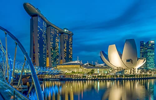 Puzzle für Erwachsene, 1000 Teile, Stadtbrücke Singapur, 70 x 50 cm von EZMLFA