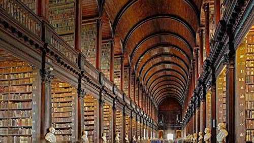 Puzzle für Erwachsene 1000 Teile Trinity College Library Irland Puzzle 52x38CM von EZMLFA