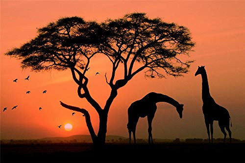 Puzzle für Kinder 1000 Teile Giraffe Baum Vögel Afrika Sonnenuntergang Landschaft Puzzle Spielzeug Kindergeschenke 52x38CM von EZMLFA