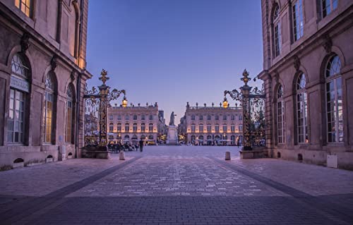 Puzzle für Kinder 1000 Teile Stadtstraße Frankreich Architekturdenkmal Nancy Stanislas Square 38x26CM von EZMLFA