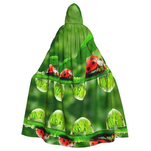 EdWal Lustiger Marienkäfer-Druck, Unisex, Erwachsene, Kapuzenumhang, Uniform, Kapuzenmantel, für Halloween, Cosplay-Kostüme EdWal Lustiger Marienkäfer-Druck, Unisex, Erwachsene, Kapuzenumhang, Uniform, Kapuzenmantel, für Halloween, Cosplay-Kostüme von EdWal