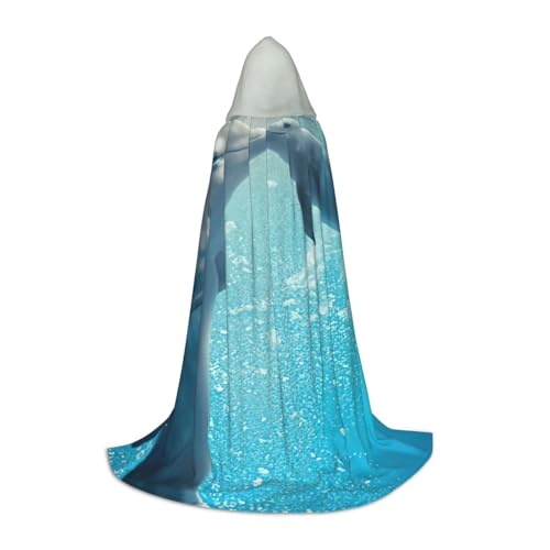 Wintermantel mit Kapuze und Delfin-Druck, Halloween-Umhang, Mittelalter, Renaissance, Cosplay, Weihnachten, Party-Outfits Wintermantel mit Kapuze und Delfin-Druck, Halloween-Umhang, Mittelalter, Renaissance, Cosplay, Weihnachten, Party-Outfits von EdWal