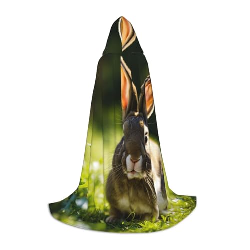 Zauberer-Bademantel mit Hasen-Aufdruck, Halloween-Umhang, Mittelalter, Renaissance, Cosplay, Weihnachten, Party-Outfits Zauberer-Bademantel mit Hasen-Aufdruck, Halloween-Umhang, Mittelalter, Renaissance, Cosplay, Weihnachten, Party-Outfits von EdWal