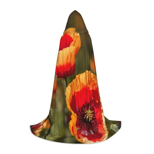 Zauberer-Robe mit Mohnblumen-Druck, mit Kapuze, Halloween, Mittelalter, Renaissance, Cosplay, Weihnachten, Party Outfits Zauberer-Robe mit Mohnblumen-Druck, mit Kapuze, Halloween, Mittelalter, Renaissance, Cosplay, Weihnachten, Party Outfits von EdWal