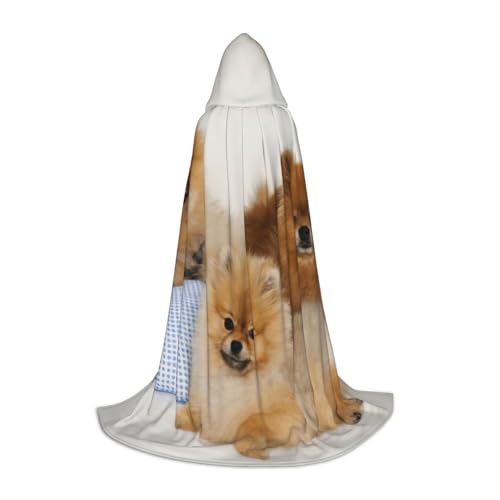 Zauberer-Robe mit süßem Zwergspitz-Druck, mit Kapuze, Halloween, Umhang, Mittelalter, Renaissance, Cosplay, Weihnachten, Party-Outfits Zauberer-Robe mit süßem Zwergspitz-Druck, mit Kapuze, Halloween, Umhang, Mittelalter, Renaissance, Cosplay, Weihnachten, Party-Outfits von EdWal