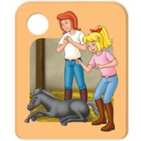 Bibi und Tina - Das Fohlen, 1 Galakto Token von Edel Music & Entertainment GmbH