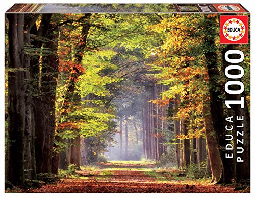 Educa 19021, Spaziergang durch den Herbstwald, 1000 Teile Puzzle für Erwachsene und Kinder ab 10 Jahren, Landschaft, Naturpuzzle von Educa
