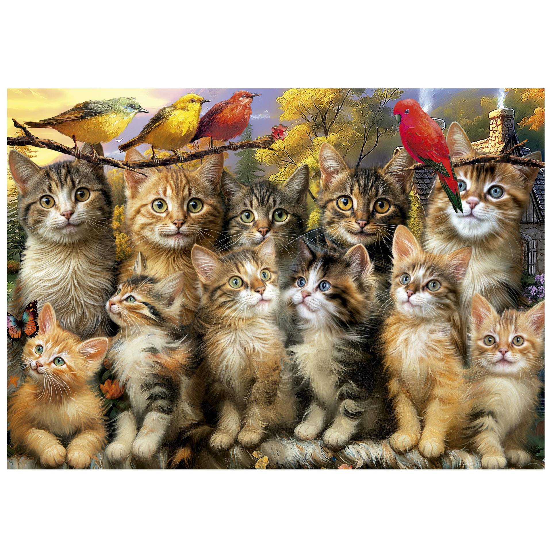 Educa Kittens and Birds 500 Teile Puzzle Educa-20241 Educa Kittens and Birds 500 Teile Puzzle Educa-20241 von Educa