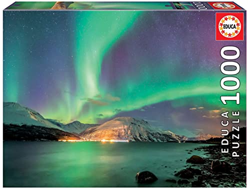 Educa - Puzzle 1000 Teile für Erwachsene | Polarlicht, 1000 Teile Puzzle für Erwachsene und Kinder ab 14 Jahren, Aurora Borealis (17967) von Educa