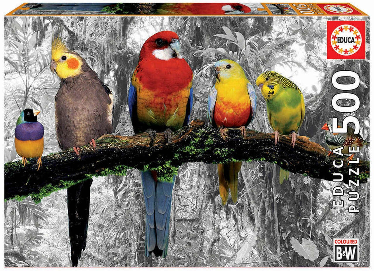 Educa Puzzle Birds On The Jungle 500 Teile von Educa