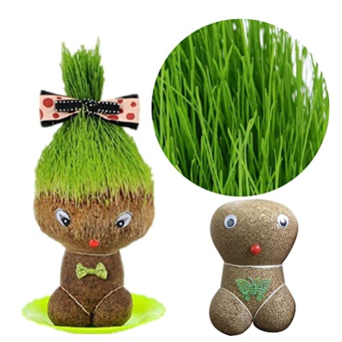 Eeneme Graskopf wachsende Graskopf pädagogisches Spielzeug Mini Bonsai Gras Kopf Figur Puppen Lustige Büro Garten Dekoration Supplies Kinder Handwerk DIY Geschenke von Eeneme