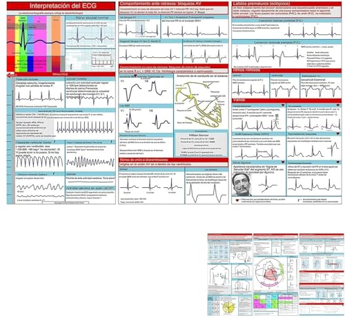 EKG Pocket Guide, EKG Rhythmus Interpretation, doppelseitige kompakte tragbare Referenzkarte, schnelle Interpretation EKG Pocket Nurses Guide, Sanitäter Lernkarten, EKG-Interpretationsbuch (1 Stück) EKG Pocket Guide, EKG Rhythmus Interpretation, doppelseitige kompakte tragbare Referenzkarte, schnelle Interpretation EKG Pocket Nurses Guide, Sanitäter Lernkarten, EKG-Interpretationsbuch (1 Stück) von Endyniner