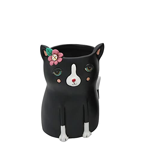 Allen Designs - Dekorative Abdeckung für schwarze Katzen Allen Designs - Dekorative Abdeckung für schwarze Katzen von Enesco