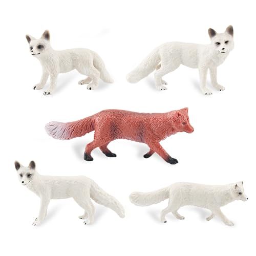 Enjoyaa Fuchsfiguren,5 Stück realistische Wildfuchsfiguren im Actionmodus, Weißfuchs und Rotfuchsfiguren Set,Miniatur Tierspielzeug für Kinder, pädagogisches Lernspielzeug Weihnachtsfeier Dekoration von Enjoyaa