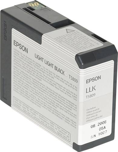 Epson Druckerpatrone T5809 Original Light Light Schwarz C13T580900 von Epson