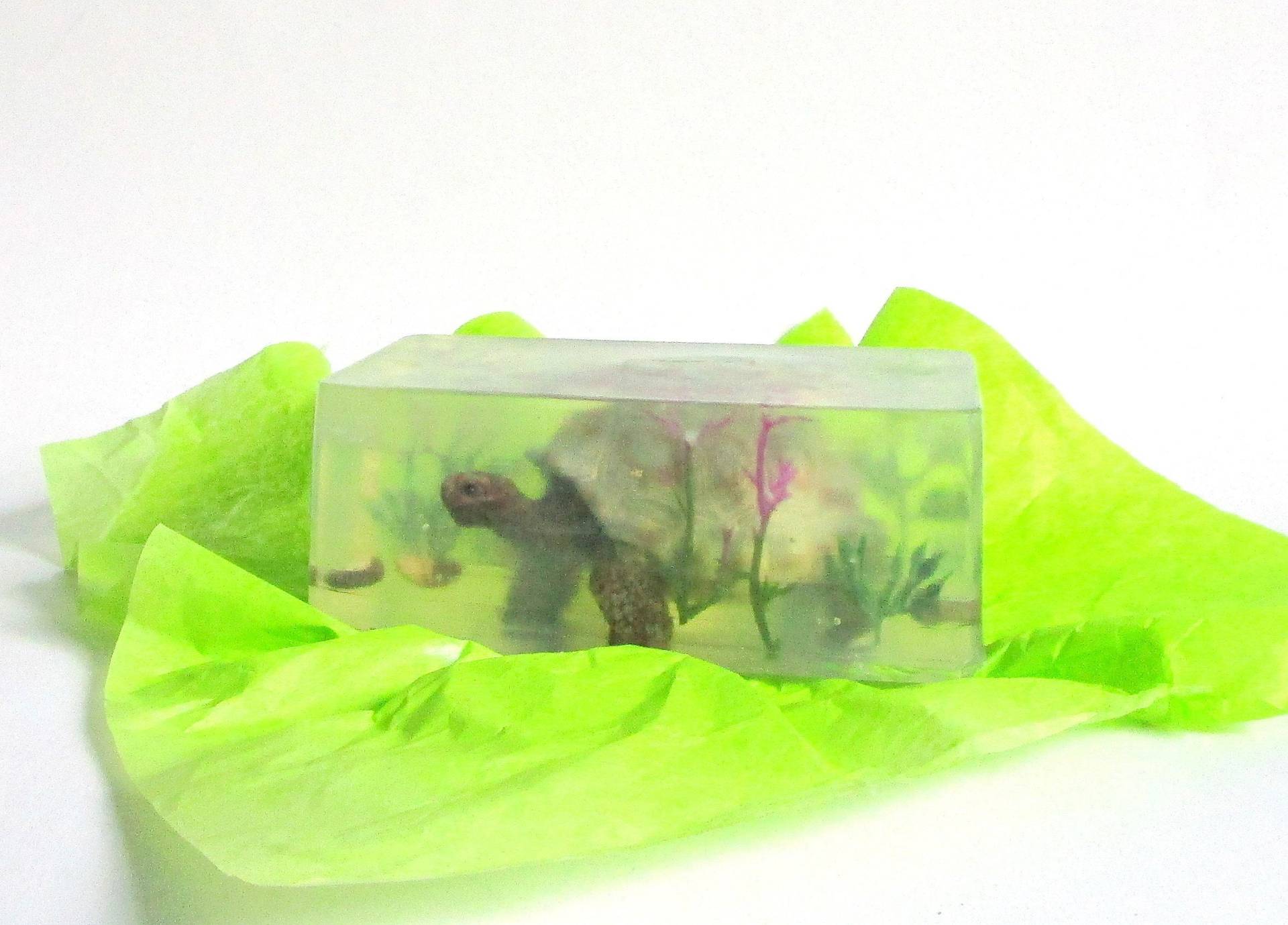 xxl Designer-Seife "Riesenschildkröte" Mit Geschenkservice-Option xxl Designer-Seife "Riesenschildkröte" Mit Geschenkservice-Option von Etsy - ARTeriell