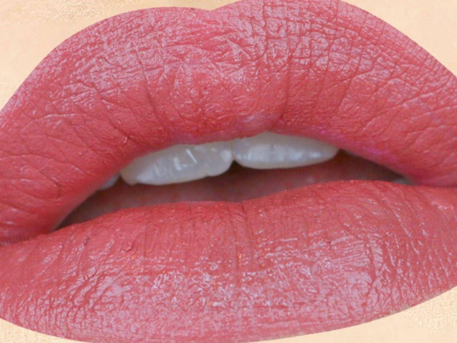 Sweetness Ganz Natürlicher Lippenstift Und Liner - Nicht Toxisch, Vegan Ohne Grausamkeit Hergestellt Sweetness Ganz Natürlicher Lippenstift Und Liner - Nicht Toxisch, Vegan Ohne Grausamkeit Hergestellt von Etsy - AddictiveCosmetics