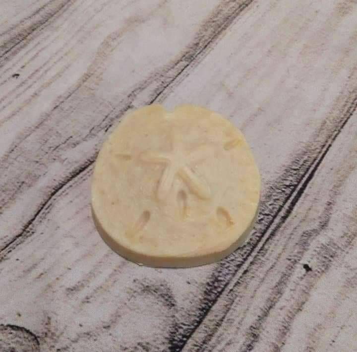 Haferflocken & Honig Ziegenmilch Seife Strand Sand Dollar Pcean Nautical Decor Boho Style Plain Unscent Soap Self Care Geschenke von Etsy - BeccasByTheBay