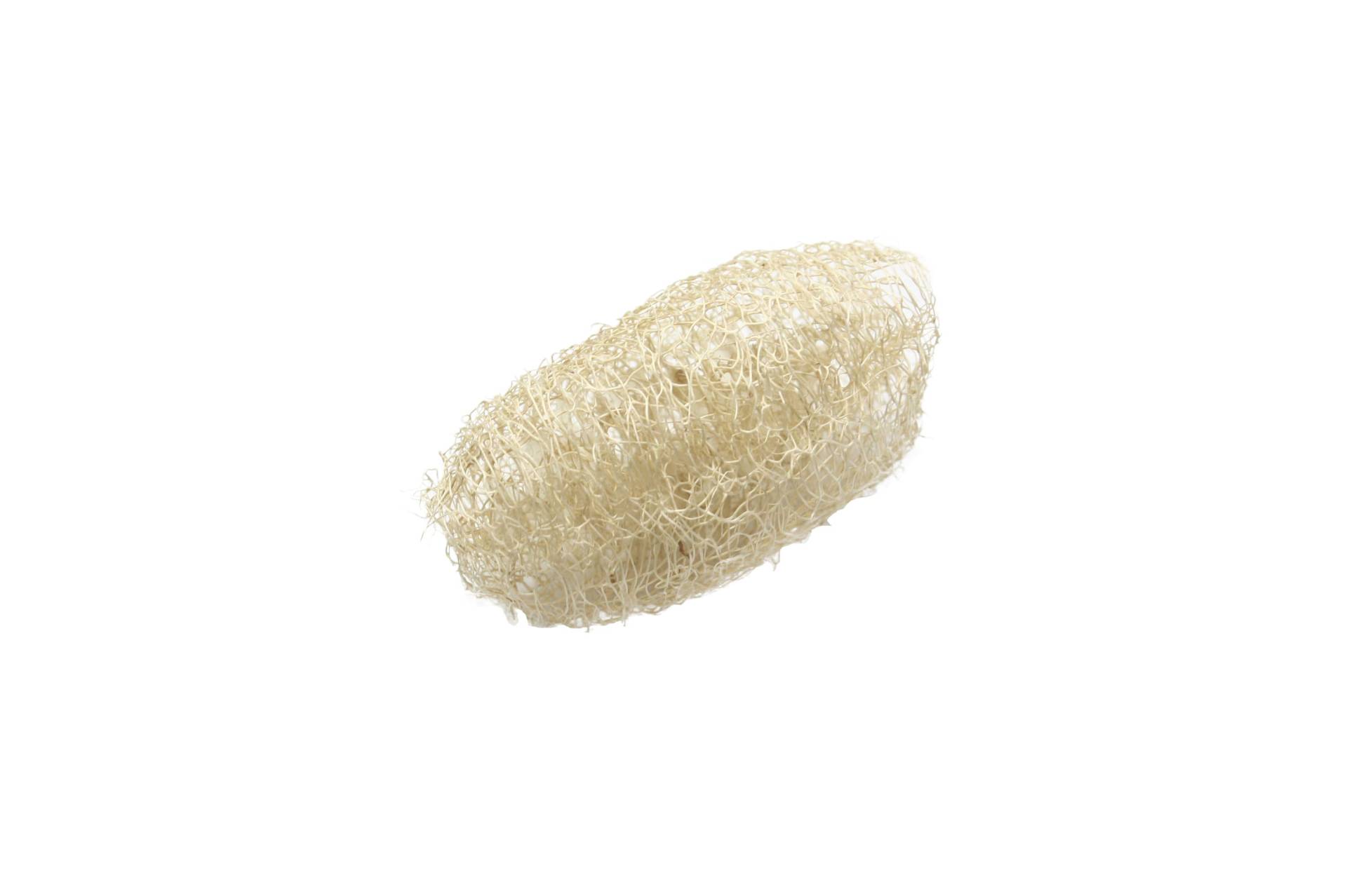 Whole Mini Luffs Luffa Natural Body Scrubber Schwamm Bad Küche - Kann Kauen Spielzeug Für Einen Kleinen Haustiere Kaninchen Hamster Nicht Gebleicht Whole Mini Luffs Luffa Natural Body Scrubber Schwamm Bad Küche - Kann Kauen Spielzeug Für Einen Kleinen Haustiere Kaninchen Hamster Nicht Gebleicht von Etsy - Bizbn