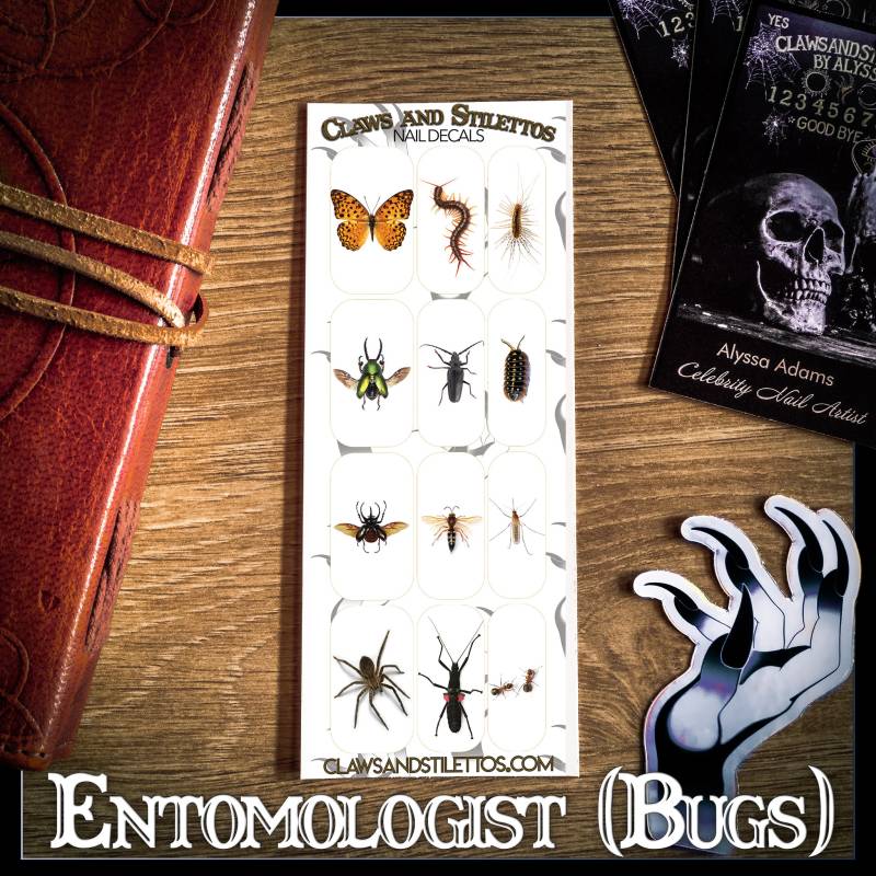 Entomologen | Käfer von Etsy - ClawsandStilettosLLC