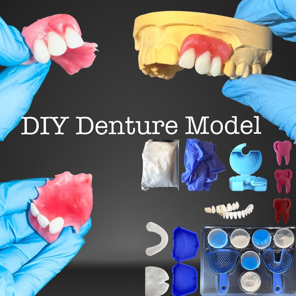 Craft Your Model, Learn Model, Dental Fix Kit, Diy Denture Show Model Prothesis Zahnprothese Zahnersatz Schaumodell von Etsy - DentalMental