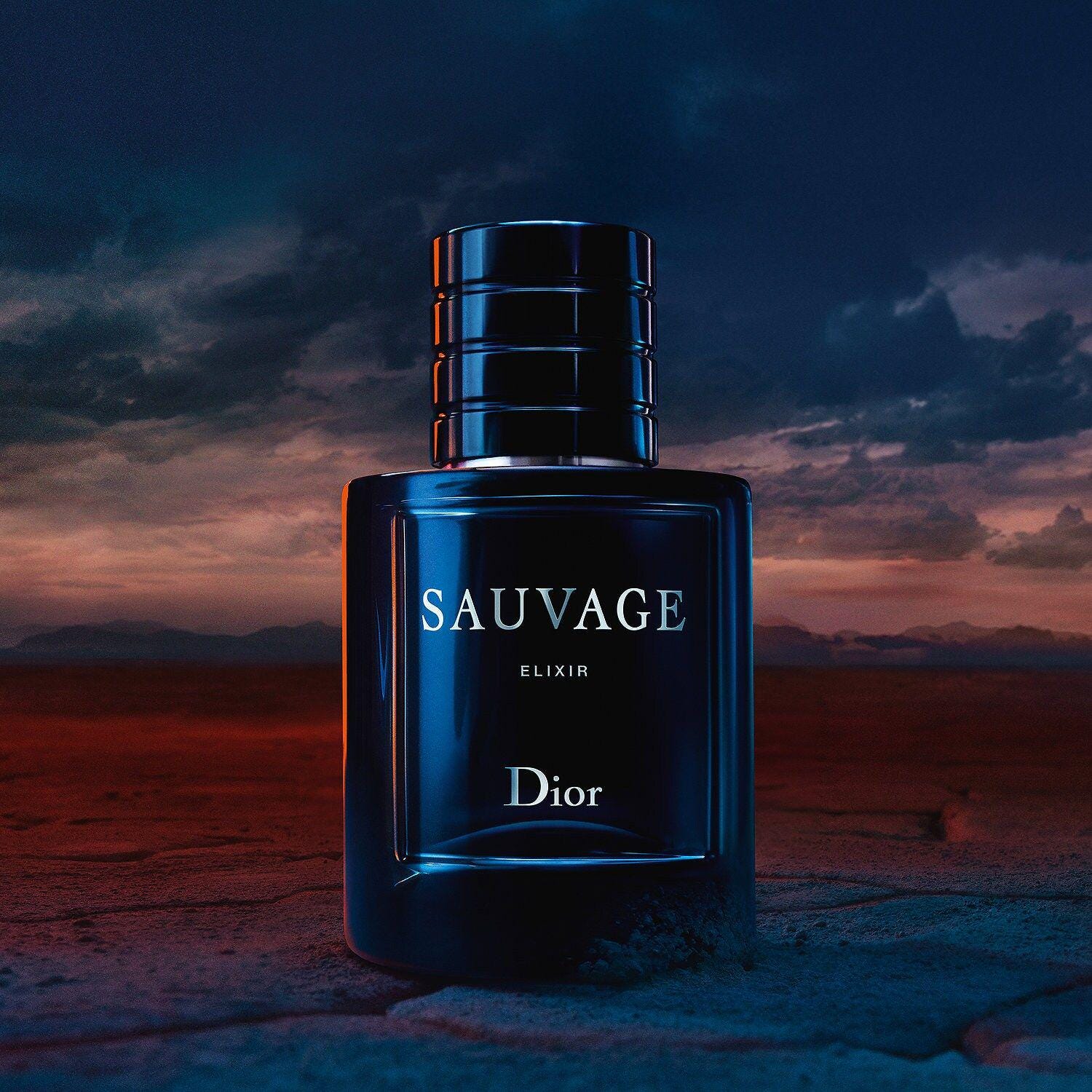 Dior Sauvage Elixir - Duftprobe/Abfüllung Parfüm | 2Ml, 5Ml, 10Ml von Etsy - DuftprobenShop