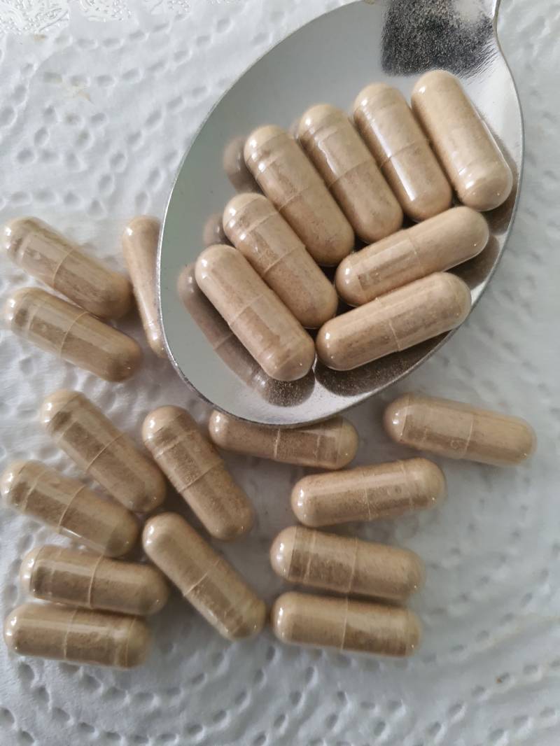 starke Milchdistel Kapseln 550Mg- 100% Vegan, Natürlich Keine Füllstoffe - Vegetarisch Kapseln von Etsy - FoodSupplementsStore