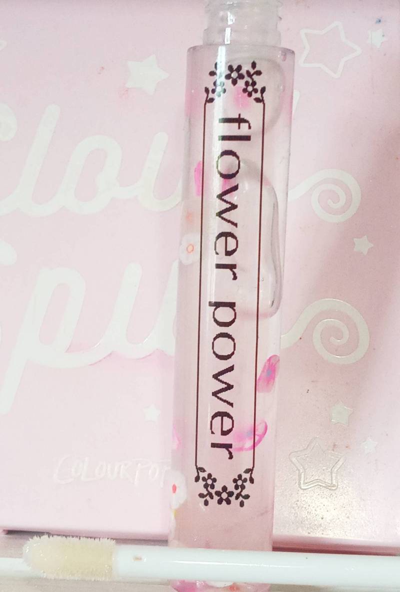 Klare Lippenstifte | Mint Lipgloss Plumping Lip Gloss Blume Lippenglanz von Etsy - ForevermoreStudios