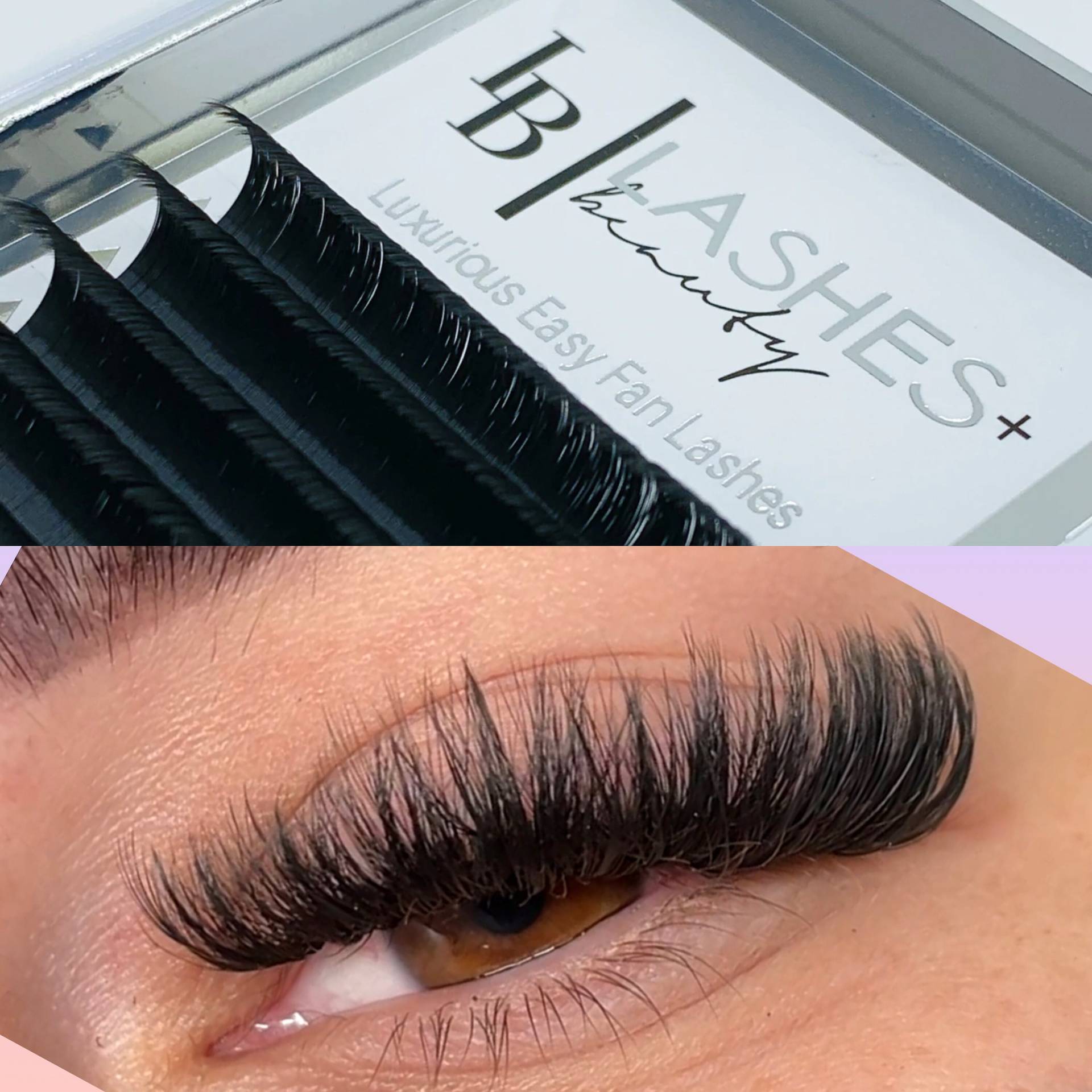 Lux Easy Fanning Volume Wimpern C Curl von Etsy - Lashesandbeautyshop