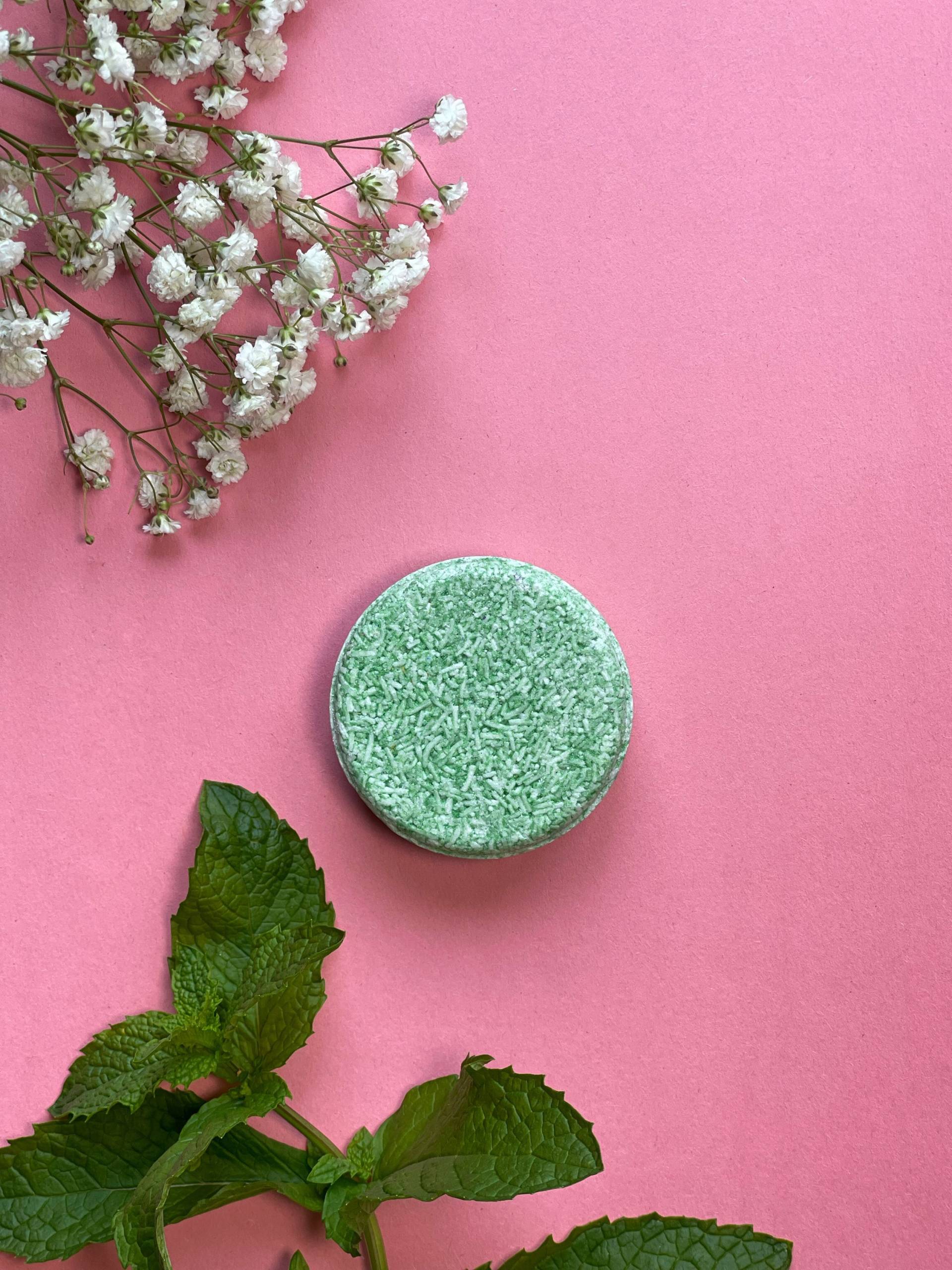 Mint Organic Vegan Shampoo Bar - Umweltfreundlich Zero Waste Plastikfrei Schönheit Und Aromatherapie Reise von Etsy - LiluOrganic