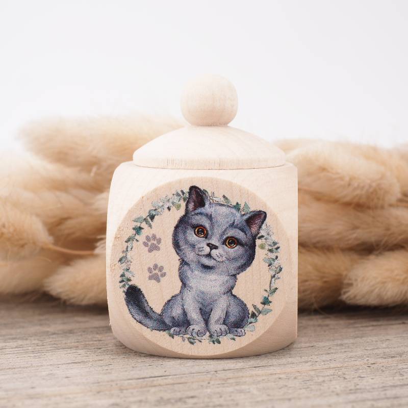 Milchzahndose Katze Britisch von Etsy - MotzisBunteWelt2014