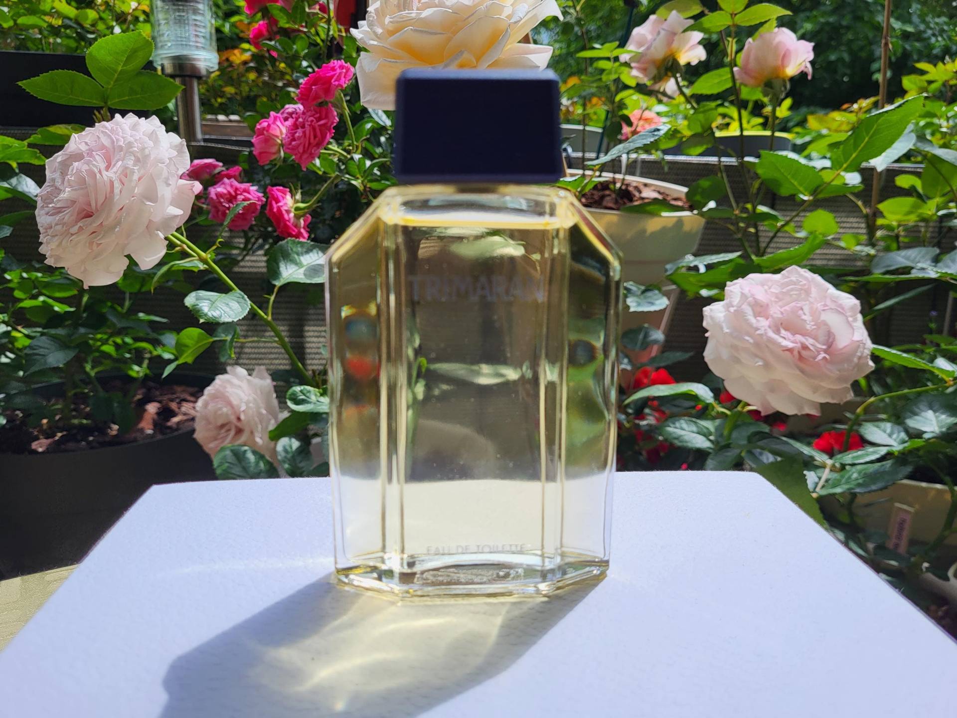 Trimaran Yves Rocher Eau De Toilette 100 Ml Flakon Splash Vintage Trimaran Yves Rocher Eau De Toilette 100 Ml Flakon Splash Vintage von Etsy - MyStyleFashionCo