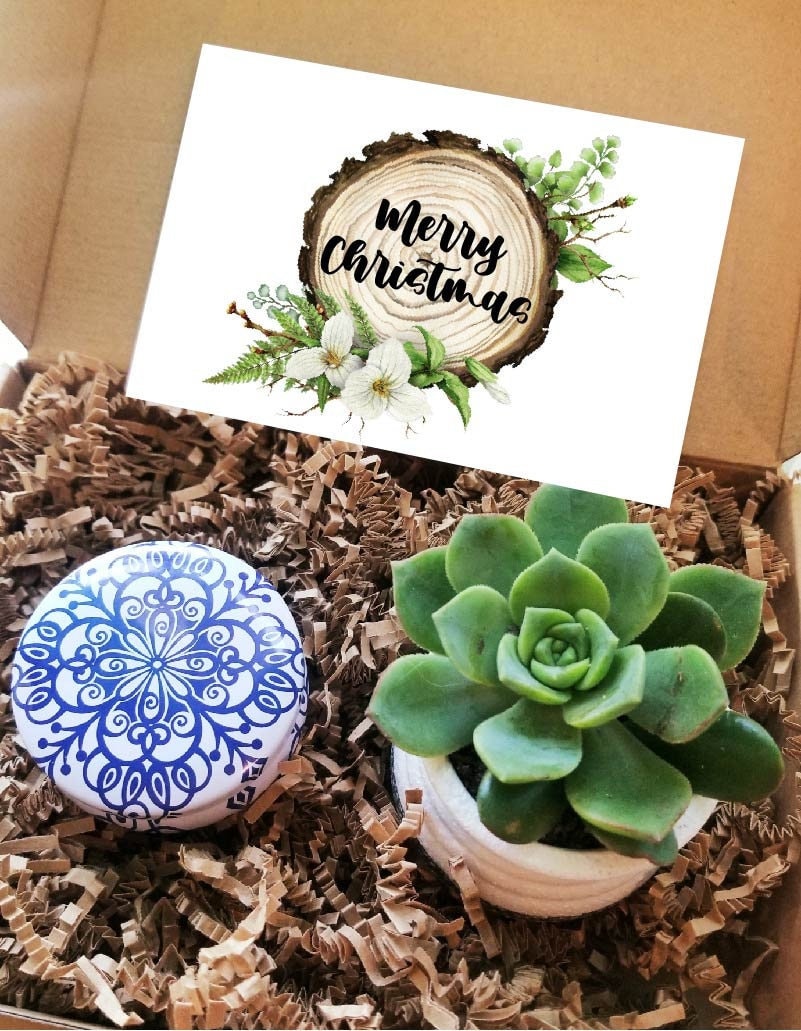 Weihnachtsgeschenkbox, Geschenk Versenden. Leben Sukkulenten, Urlaub Care Paket, Gefüllt Weihnachtsgeschenkset Für Sie, Geschenkkorb von Etsy - MyWhys