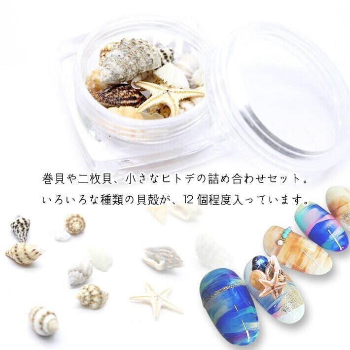 1Jar Nail Art Shell Trompete Conch Seestern Kleine Set Bj57 1Jar Nail Art Shell Trompete Conch Seestern Kleine Set Bj57 von Etsy - NailAngel2019