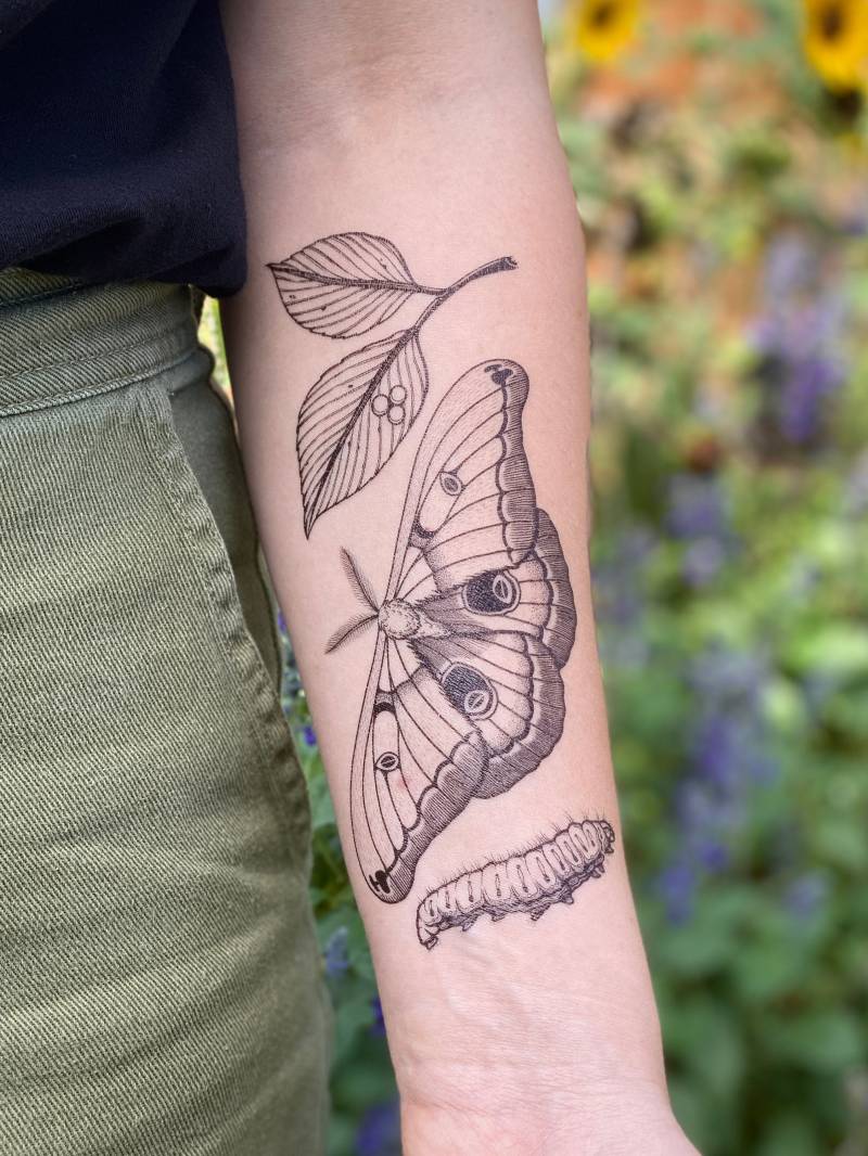 Polyphemus Motte Temporäres Tattoo, Lebenszyklus Design, Geschenk Für Naturliebhaber, Weihnachtsgeschenk von Etsy - NatureTats