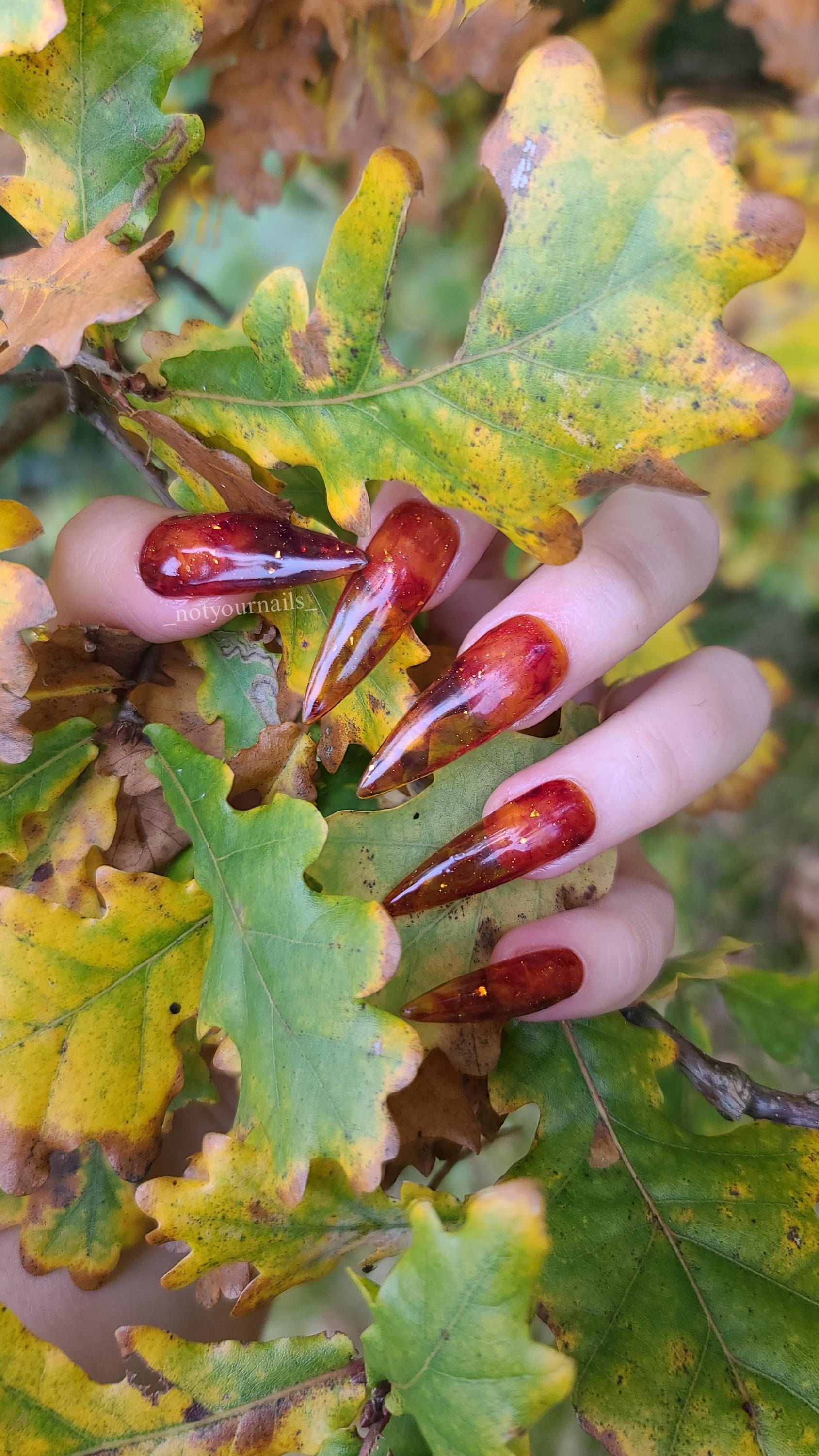 Autumn Jelly Glas Amber Handmade Press On Nail Gel Set von Etsy - Notyournails