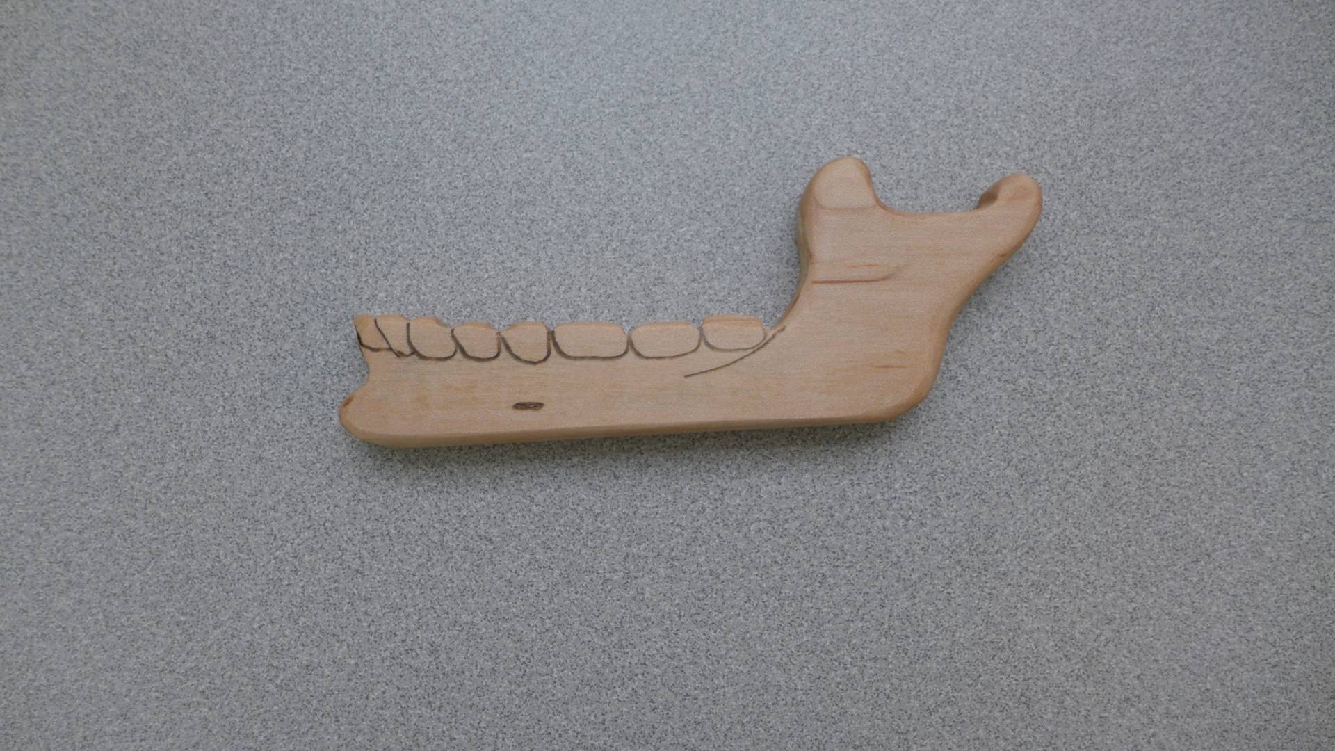 Beißring, Kieferorthopäde, Anthropologen Baby, Baby Grufti Beißring, Kieferorthopäde, Anthropologen Baby, Baby Grufti von Etsy - OldHatToys