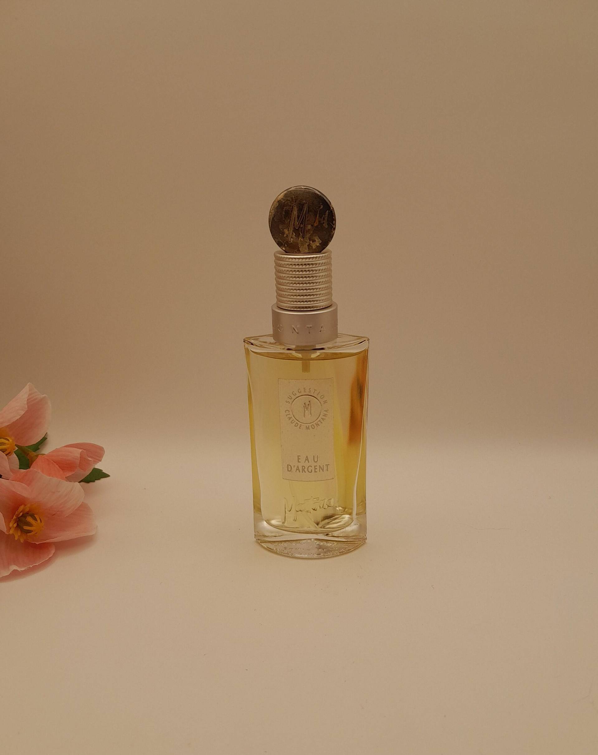 Claude Montana - Suggestion Eau D'argent | 1994 50 Ml De Toilette Spray Vintage-Flasche Aus Den 1990Er Jahren Damenparfüm von Etsy - ReginasPerfume