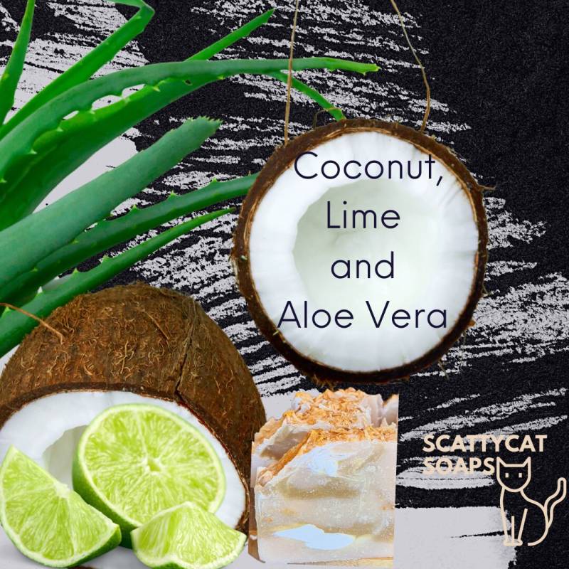 Kokosnuss, Limette Und Aloe Vera Seife von Etsy - ScattycatSoaps