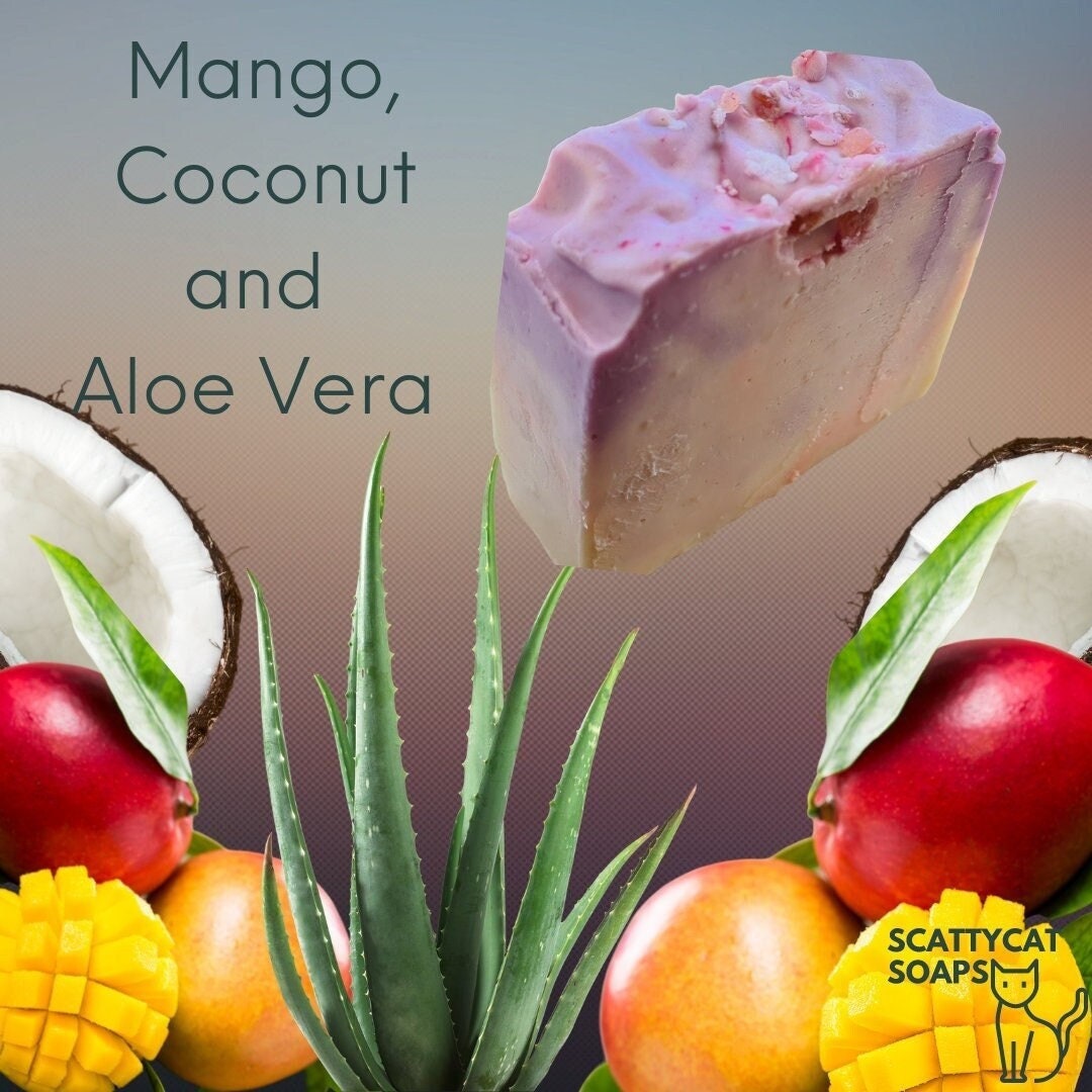 Mango Und Kokosnuss Aloe Vera Seife von Etsy - ScattycatSoaps