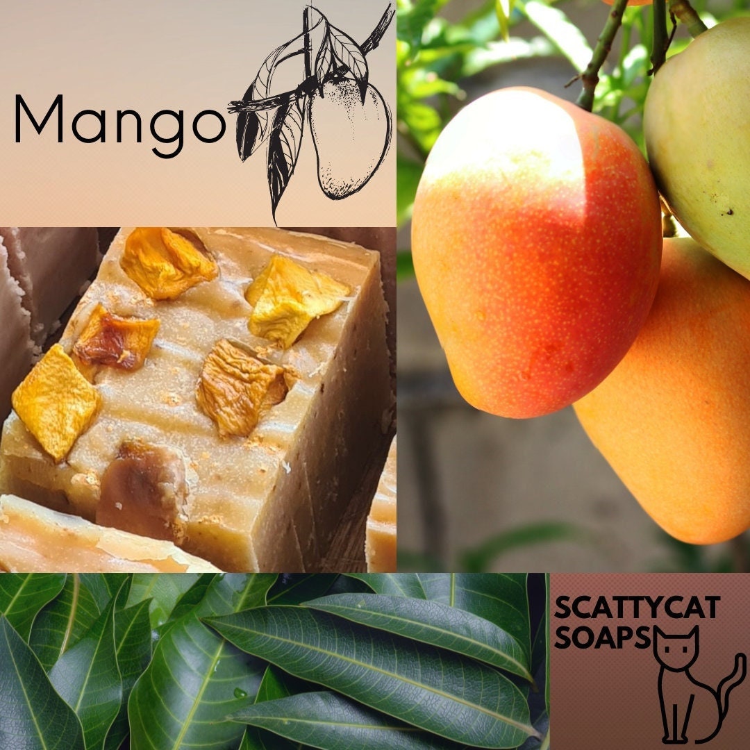 Mango Seife von Etsy - ScattycatSoaps