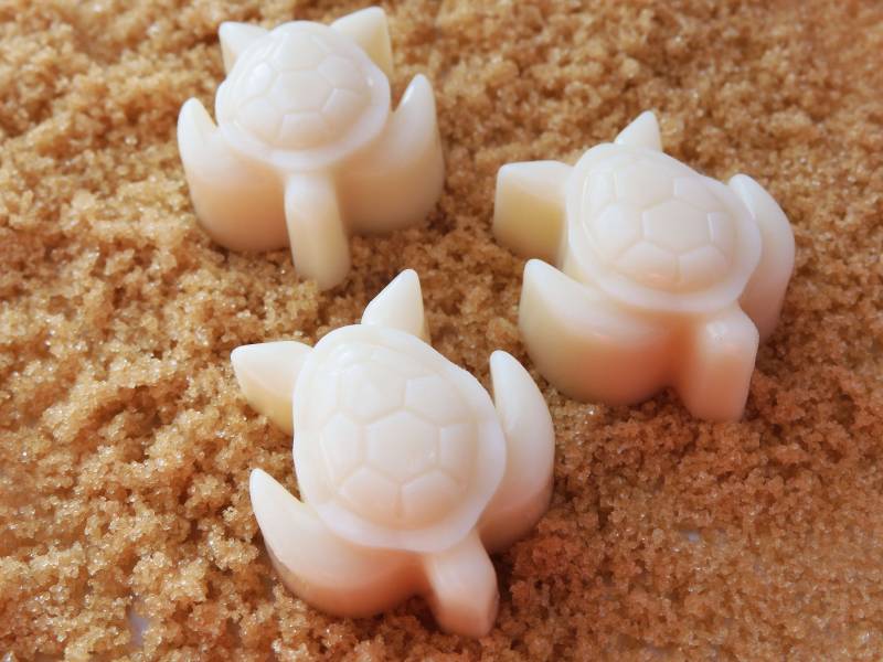 Strandlotion Bars | Turtle Lotion Bar Seestern Fisch Strandparty Geschenk Set Strand Geburtstag Geschenkbox von Etsy - SimplyMadeNaturalCo