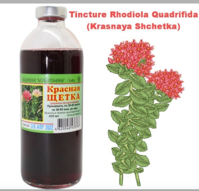 Tinktur Rhodiola Quadrifida 250Ml | Krasnaya Shchetka Ролиола Красная Оетка von Etsy - SlimAndHealthyBody