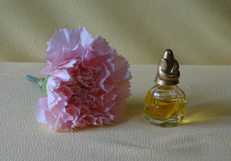 Vintage- Miniatur Von Sonia Bogner - " Now" Eau De Parfum von Etsy - Sonne021VonSiegfried