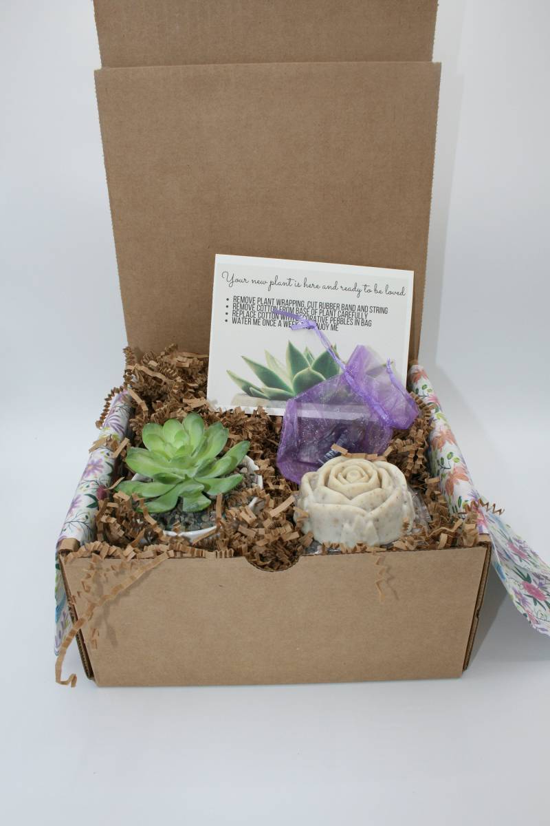 Versand Hugs | Get Well Soon Geschenkbox Feel Better Geschenk Denk An Dich Good Vibes Gute Wünsche| Pflege von Etsy - SucculentGiftBoxShop