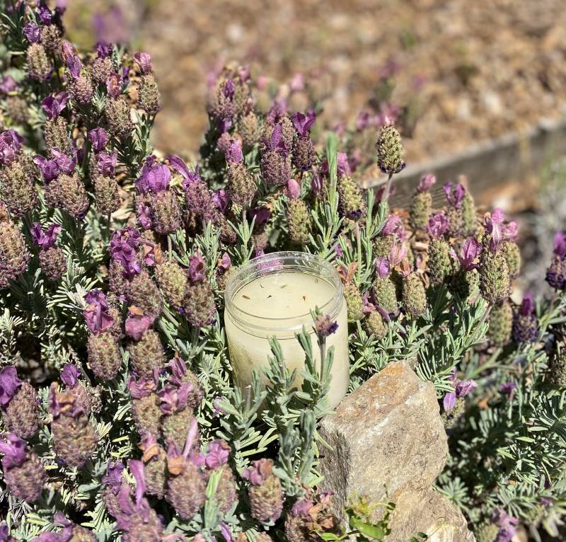 Lavendel-Zucker-Peeling von Etsy - Sugarbabeenaturals