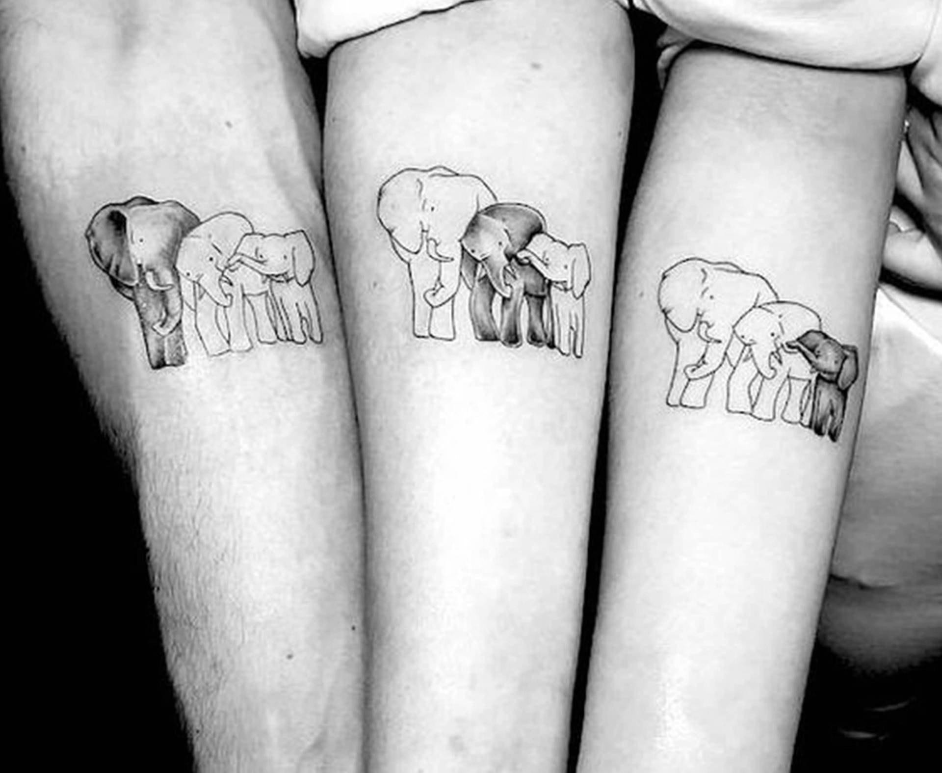 Elefant Familie Temporäres Tattoo - Mama Papa Baby Winziges Wasserdichtes Fake Abnehmbares Geschenk Für Mama, Papa, Tochter, Sohn von Etsy - SvenHStore