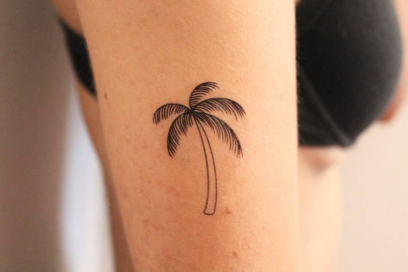 Palme Temporäres Tattoo | 2Er Set/strand Urlaub von Etsy - TemporaryTattooInc